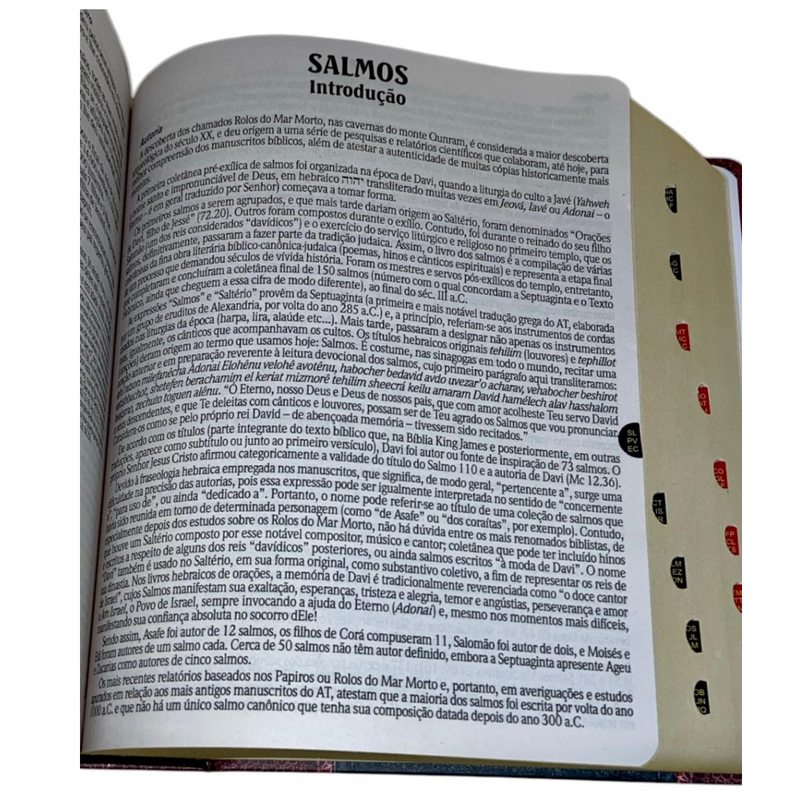 Bíblia de Estudo Tradicional Letra Hipergigante Capa Dura Com Índice Feminina e Masculina King James
