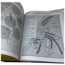 Bíblia de Estudo Tradicional Letra Hipergigante Capa Dura Com Índice Feminina e Masculina King James