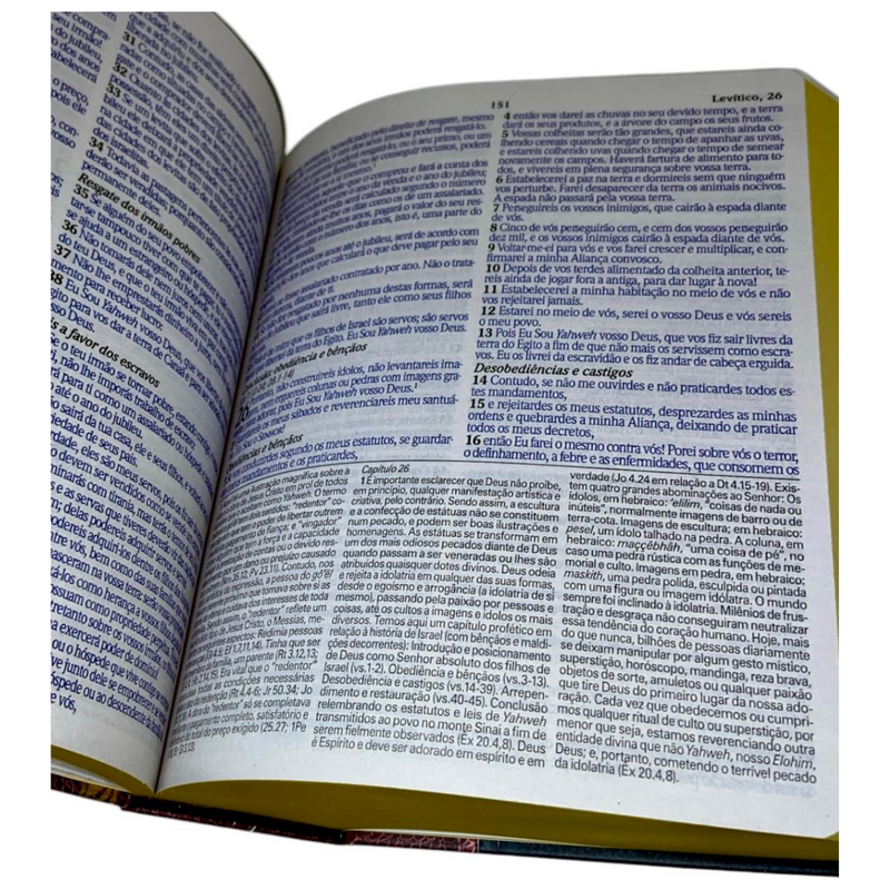 Bíblia de Estudo Tradicional Letra Hipergigante Capa Dura Feminina e Masculina King James