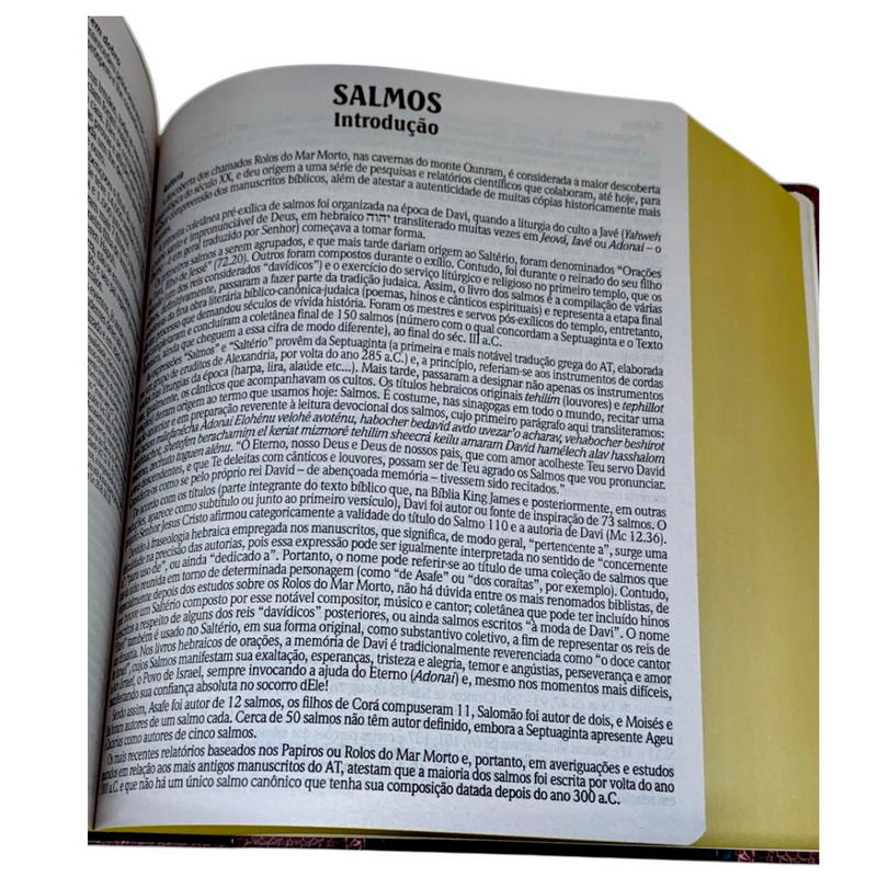 Bíblia de Estudo Tradicional Letra Hipergigante Capa Dura Feminina e Masculina King James