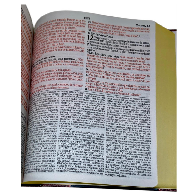 Bíblia de Estudo Tradicional Letra Hipergigante Capa Dura Feminina e Masculina King James