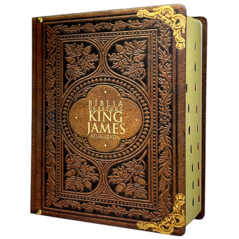 Bíblia de Estudo Vintage Letra Hipergigante Capa Dura Com Índice Feminina e Masculina King James