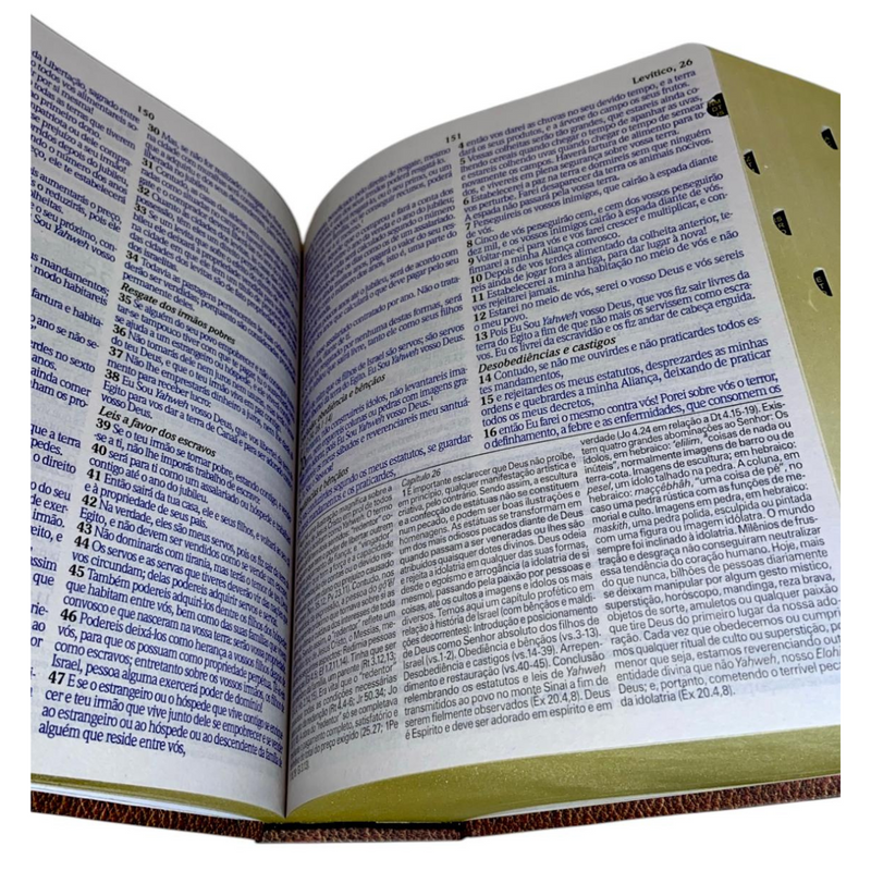 Bíblia de Estudo Vintage Letra Hipergigante Capa Dura Com Índice Feminina e Masculina King James