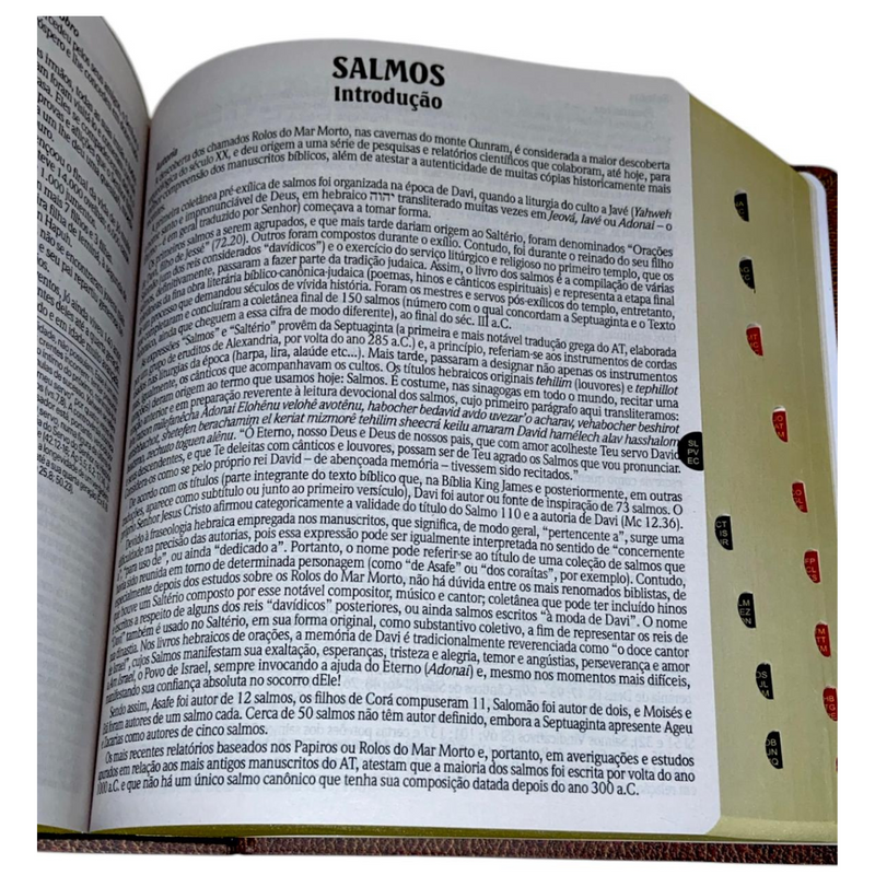 Bíblia de Estudo Vintage Letra Hipergigante Capa Dura Com Índice Feminina e Masculina King James