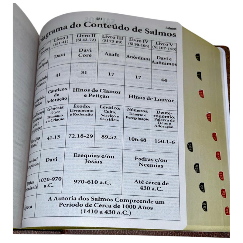 Bíblia de Estudo Vintage Letra Hipergigante Capa Dura Com Índice Feminina e Masculina King James