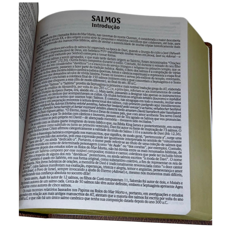 Bíblia de Estudo Vintage Letra Hipergigante Capa Dura Feminina e Masculina King James
