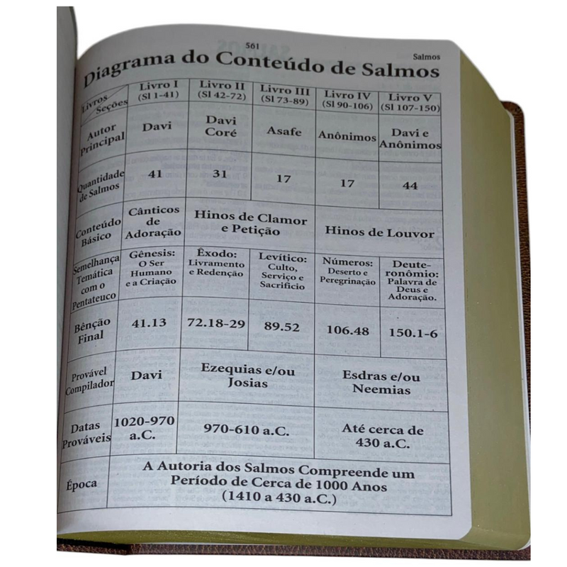 Bíblia de Estudo Vintage Letra Hipergigante Capa Dura Feminina e Masculina King James