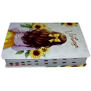 Bíblia Virtuosa Letra Gigante Capa Flexível Com Harpa e Índice Feminina Arc