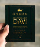 Livro Devocional Tesouros de Davi Leão de Judá Capa Brochura
