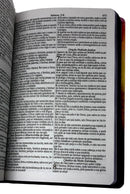 Bíblia Sagrada Evangélica Letra Gigante Capa Dura Reino Dos Céus Ppm Linguagem Arc Com Harpa