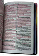 Bíblia Sagrada Evangélica Letra Gigante Capa Dura Reino Dos Céus Ppm Linguagem Arc Com Harpa