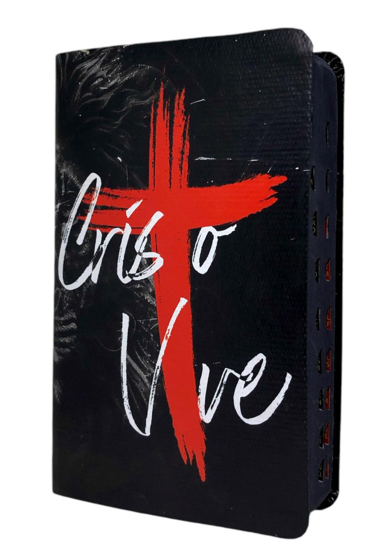 Bíblia Leão Cristo Vive Letra Gigante Capa Flexível Com Harpa e Índice Masculina Arc