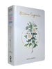 Kit 2 Bíblias Femininas Sagradas Capa Dura Letra Gigante e Hipergigante Harpa ARC Floral e Filha