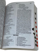 Kit 10 Bíblias Letra Gigante Capa Brochura Feminina e Masculina NVI Variadas Com Índice