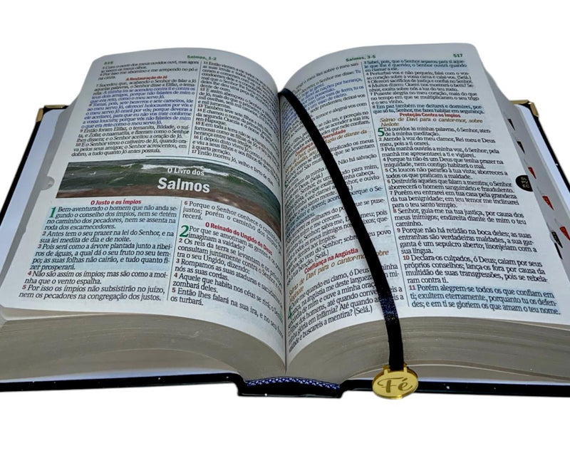 Bíblia Sagrada Letra Hipergigante Capa Dura Leão Universo Com Harpa e Índice ARC