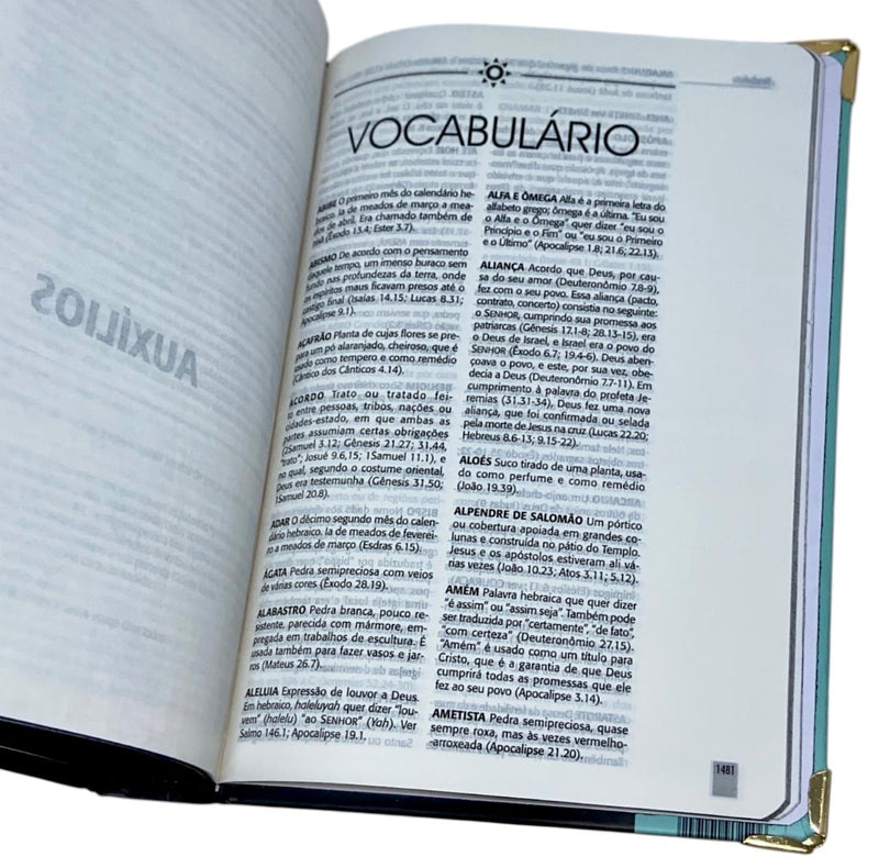 Bíblia Cruz Menta Letra Grande Capa Dura Com Elastico Feminina e Masculina  NTLH - SKT