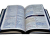 Kit 2 Bíblias Sagradas Leão Yeshua Edição Promessas Letra Grande Para Bolsa NVA
