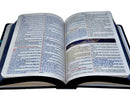 Kit 2 Bíblias Sagradas Leão Yeshua Edição Promessas Letra Grande Para Bolsa NVA