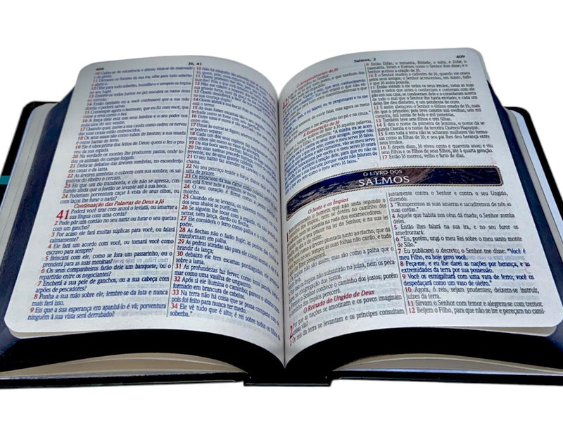 Bíblia Letra Grande Leão Yeshua Tijolinho NAA- SB
