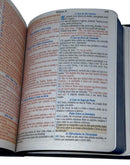 Bíblia Letra Grande Leão Yeshua Tijolinho NAA- SB