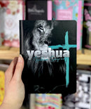 Bíblia Letra Grande Leão Yeshua Tijolinho NAA- SB