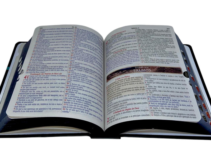 Bíblia Letra Grande Tijolinho Leão Yeshua Com Índice NVA - SB