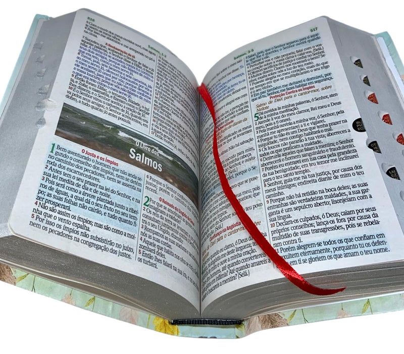 Bíblia Sagrada Letra Hipergigante ARC Bíblia das Senhoras SB