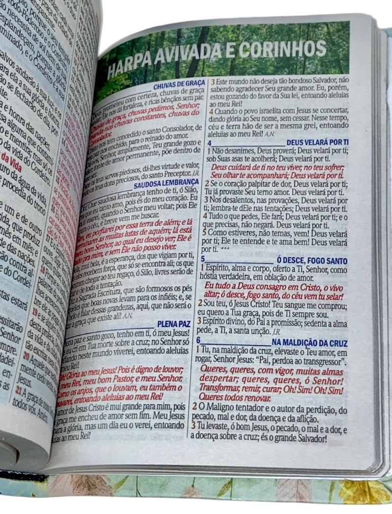 Bíblia Sagrada Letra Hipergigante ARC Bíblia das Senhoras SB