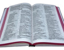 Bíblia Sagrada Slim Letra Normal Capa Dura Linguagem Nvi Ressuscitou