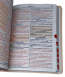 Bíblia Letra Grande Tijolinho NVA Capa  Pu Luxo Rosé Com Índice - Full Color