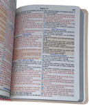 Bíblia Letra Grande Tijolinho NVA Capa  Pu Luxo Rosé - Full Color
