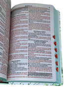 Kit Bíblia Feminina Sou Amada + Planner Holy Azul + Devocional Minimalista