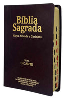 Kit 20 Bíblias Evangélicas Letra Gigante Capa Semiflexível ARC Com Harpa e Índice Marrom e Rosa