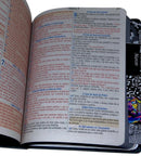 Bíblia Letra Grande Leão Yeshua Tijolinho Com Abas Adesivas Leão - SB