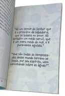 Livro 12 Meninos Que Influenciaram O Mundo - CPP