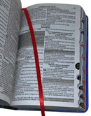 Bíblia Masculina Leão Seja Forte e Corajoso Capa Dura Com Índice Lateral - Arc