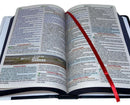 Kit 2 Bíblias Evangélicas Leão Jesus Letra Gigante Capa Dura Com Harpa E Índice Arc