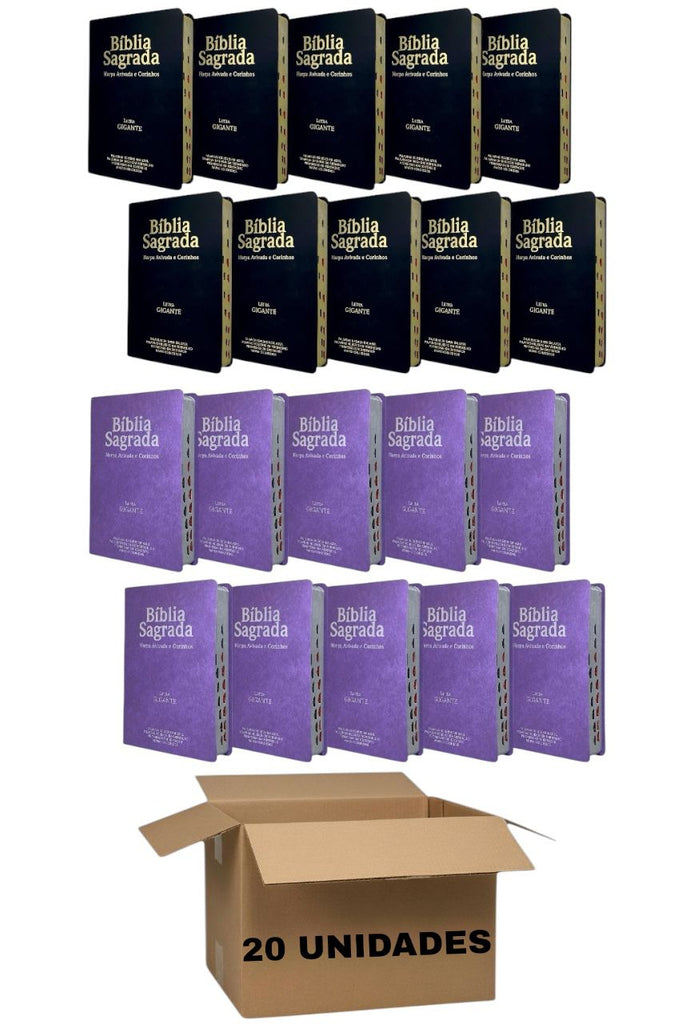 Kit 20 Bíblias Evangélicas Letra Gigante Capa Semiflexível ARC Com Harpa e Índice Lilás e Preta