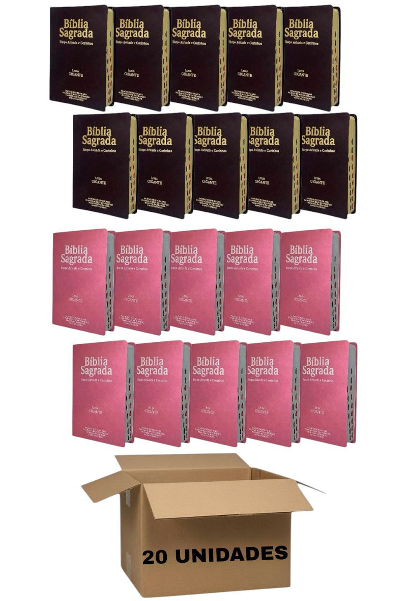 Kit 20 Bíblias Evangélicas Letra Gigante Capa Semiflexível ARC Com Harpa e Índice Marrom e Rosa