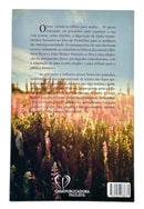 Livro Evangélico feminino Sabedoria Bíblica para Mulher - John Wesley & Matthew Henry