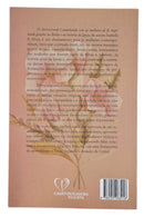 Livro Evangélico Feminino Caminhando Com As Mulheres De Fé - Isabelle S. Alves