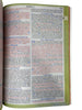 Bíblia Sagrada Leão Da Palavra Letra Normal Capa flexível - Nva Nova Versão Almeida Atualizada