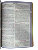 Bíblia Sagrada Infantil Ovelhinhas De Cristo Letra Normal Capa flexível - Nva Nova Versão Almeida Atualizada