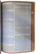 Bíblia Sagrada Infantil Ovelhinhas De Cristo Letra Normal Capa flexível - Nva Nova Versão Almeida Atualizada