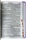 Bíblia Sagrada Feminina Lilás Letra Hipergigante Capa Semi Flexível Harpa e Corinhos
