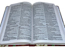 Bíblia Sagrada Feminina Slim Ele Vem Capa Dura Letra Comum ARC Com Harpa Avivada