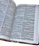 Bíblia Sagrada Feminina Slim Ele Vem Capa Dura Letra Comum ARC Com Harpa Avivada