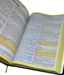 Bíblia McCheyne Nva Capa Dura Letra Gigante - Leitura Diária Devocional  Full Color