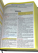 Bíblia McCheyne Nva Capa Dura Letra Gigante - Leitura Diária Devocional  Full Color