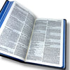 Bíblia Sagrada Evangélica Letra Normal Linguagem NAA Capa Dura Leão Azul Letra Comum